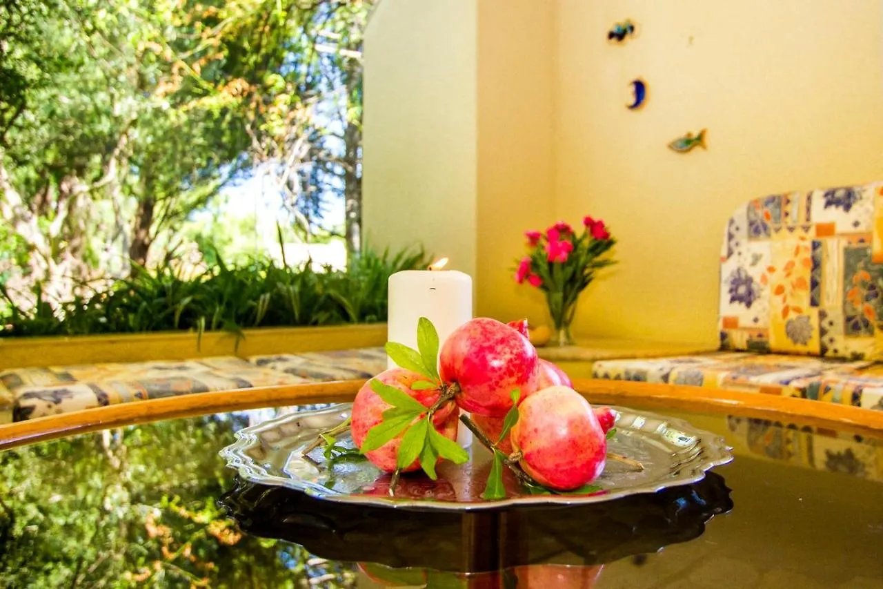 Muses Villas Resort Sani